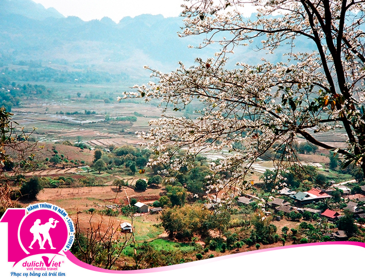 Tour Miền Bắc - Tây Bắc - Mai Châu - Mộc Châu - Ninh Bình ngắm hoa ban nở trắng rừng 2025